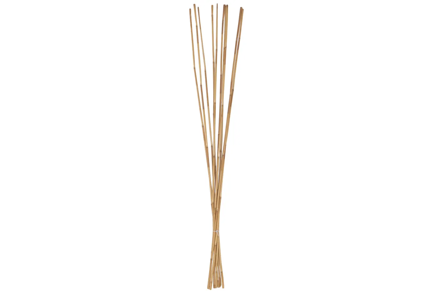 Set de 10 – rama de bambú natural