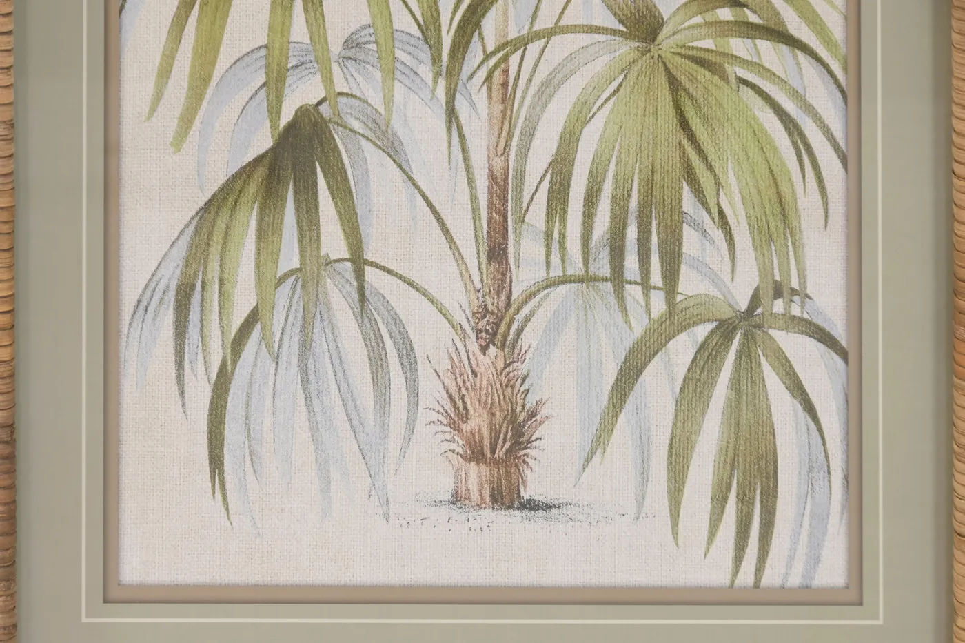 Cuadro palmera de ratán y cristal (4 modelos) — Foto 2