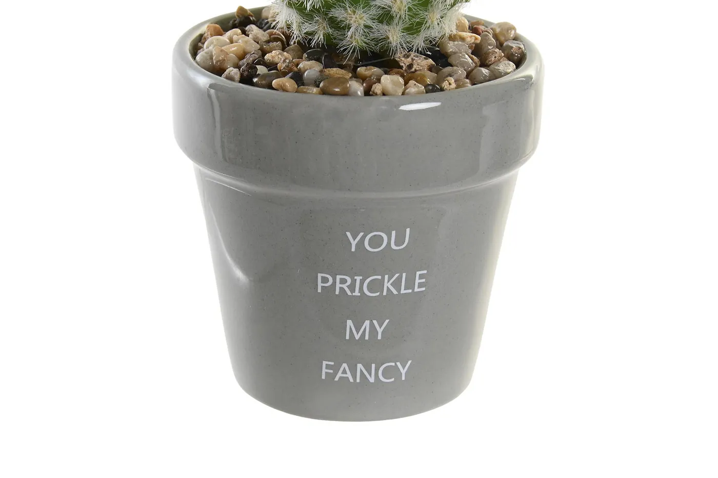 Cactus ceramic polyethylene artificial plant (2 designs) — Photo 2